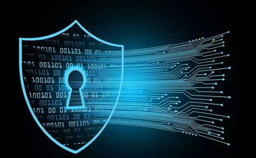 堅持防御型投資在互聯網信息服務領域的價值與回報