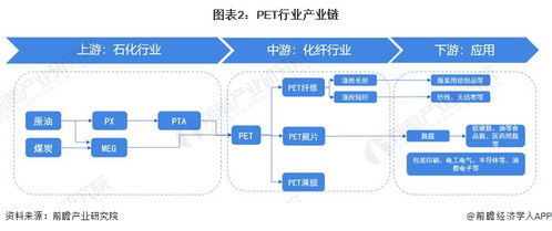2023年中國PET行業全景圖譜 市場現狀、競爭格局與趨勢展望